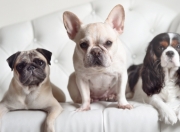 开云平台-绝对核心与脆弱边缘，足球世界的两种胜利叙事