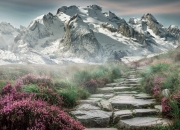 开云体育-绿茵场上的双重奏，基米希的统治力与伊朗的闪电战