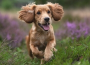 开云体育在线-防线如铁，纪录如雨，攻防的两种极致表达