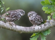 开云体育app-巨星时刻！伦纳德48分凿穿北国，北京末节决胜昂首挺进下一轮