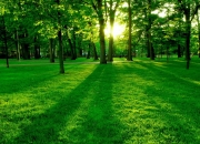 开云体育在线-欧文关键时刻显神威，奇才队险胜新疆队