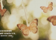 开云体育登录-绝境之鹰，贝恩从隐形人到绝杀英雄的三百天炼狱之路