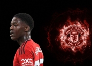 开云体育登录-曼联后卫受伤，急需替补补强