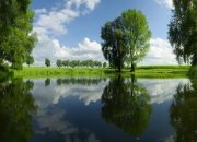 开云体育-北非之光刺破安达卢西亚夜空—莱奥两射一传率突尼斯击穿塞维利亚