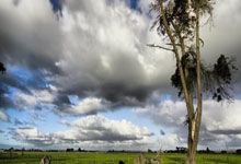 开云体育中国-西雅图海湾者队长激励全队，挑战强敌士气高昂