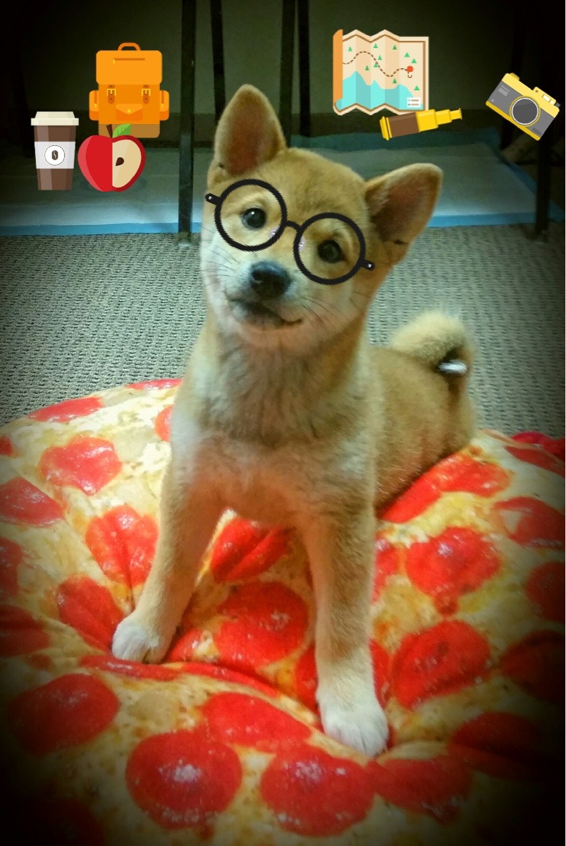 绝境之鹰,当利拉德在世界排名的悬崖边接管比赛