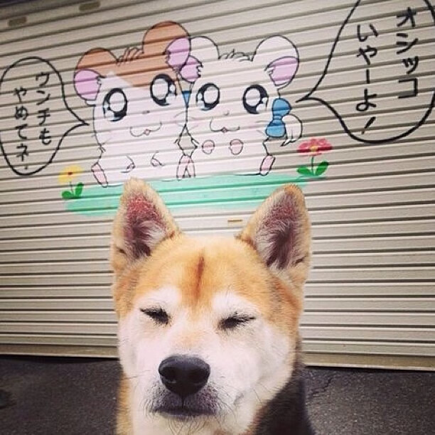 欧冠淘汰赛之夜，当福克斯弧线划过天际，平凡之躯筑就永恒传奇