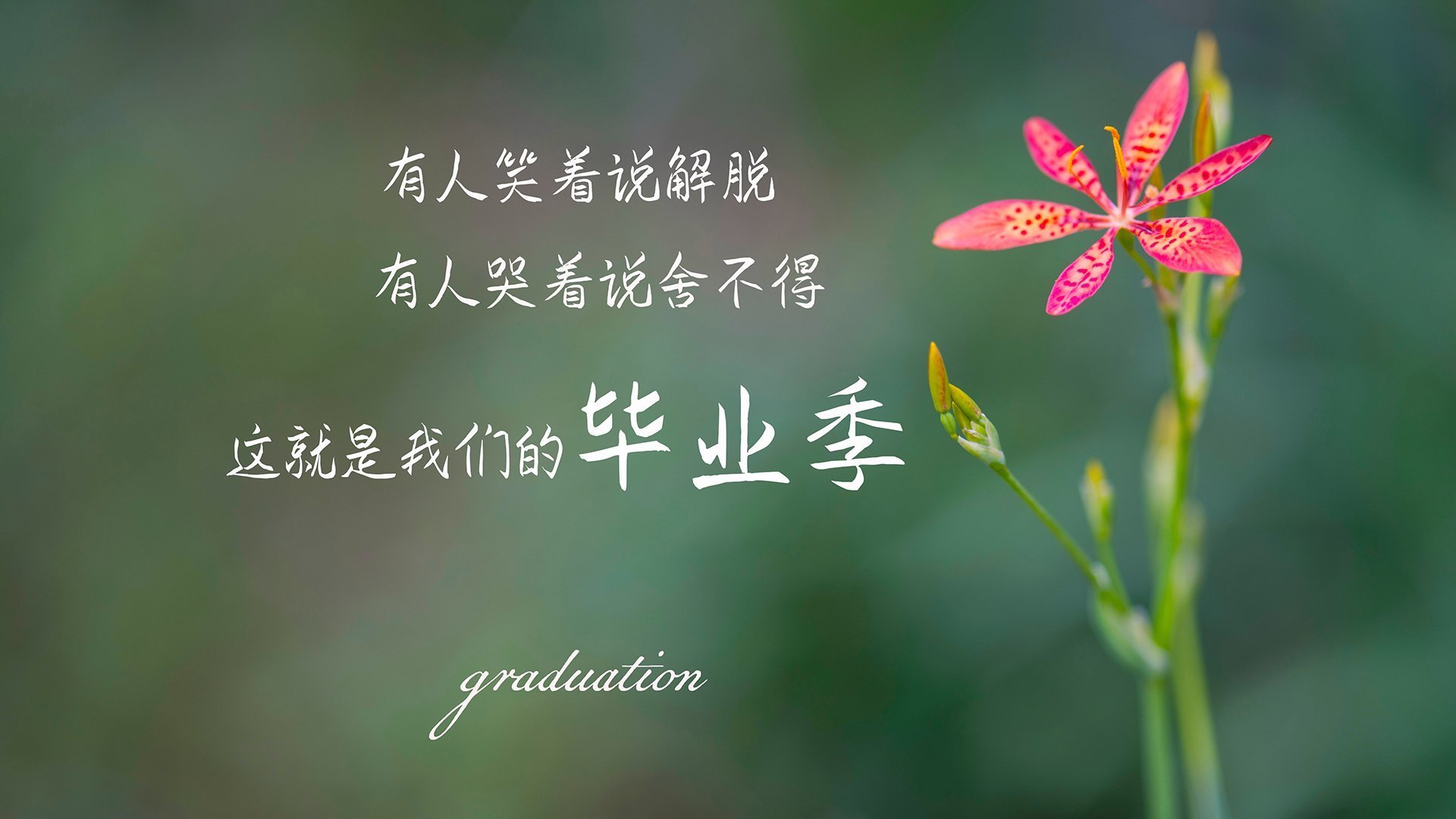 用F1的攻防转换奇才战术,能压制高位逼抢的上海队吗?