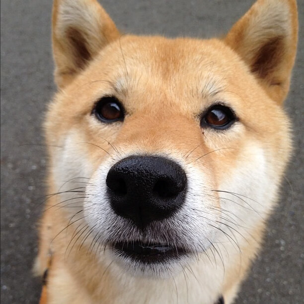 武切维奇指尖流转的协奏曲,开拓者以节奏为刃击穿广厦