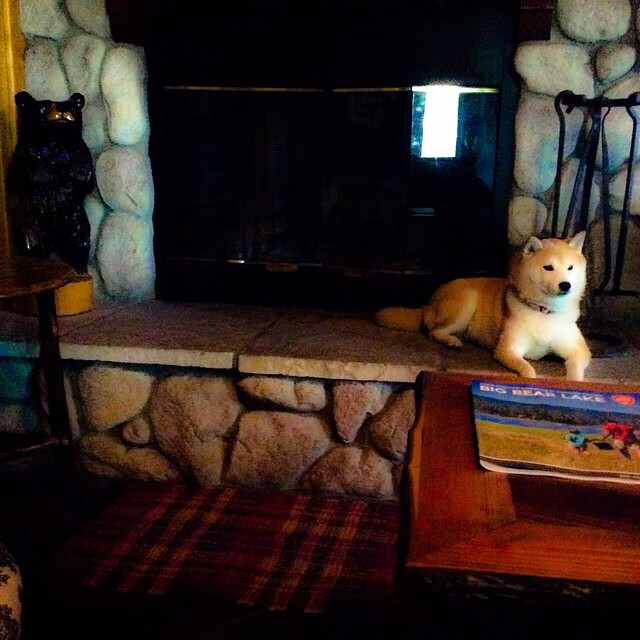 星空下的棋手，楚阿梅尼与美加墨之夜那脚不容置疑的裁决