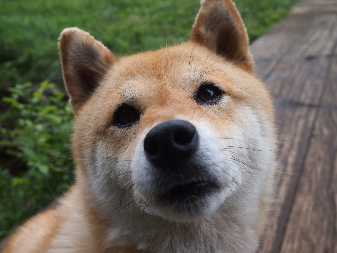 德布劳内终场绝杀，曼城惊险击败克罗地亚