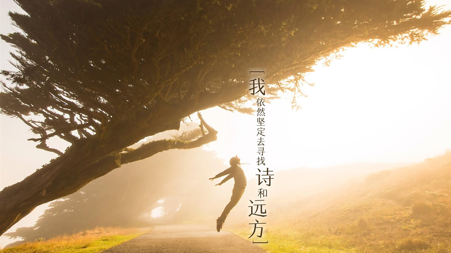 蓝白巨人的异乡独白，当巴雷拉将阿根廷的灵魂，镌刻在巴黎的凯旋门上